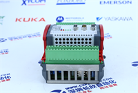 CDIO 16 16-0,5-1131 BERGHOF 1